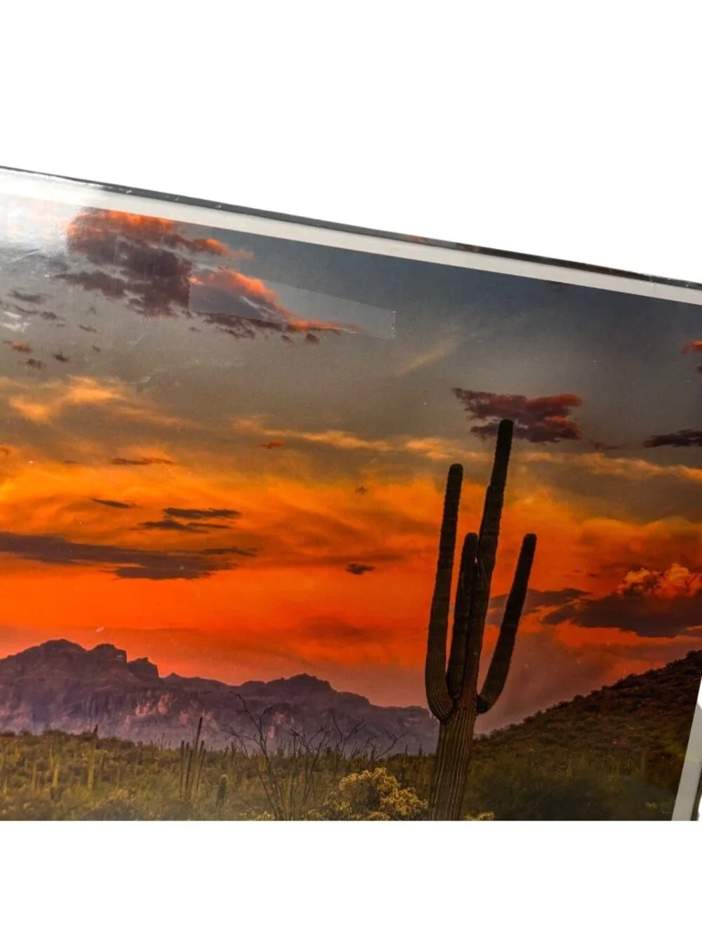 NEW Seesaw Sunset Cactus 1000-Piece Puzzle 18.9